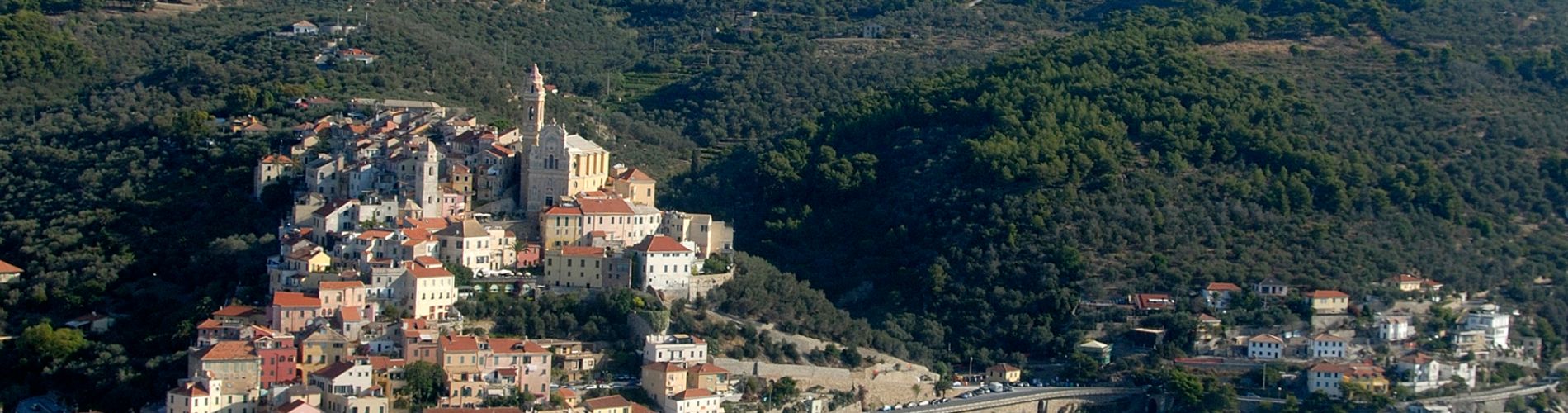 Cervo Cervo