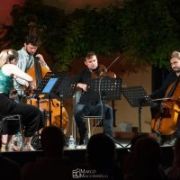 Wooden Elephant String Quintet 8