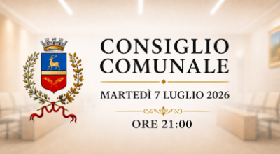 locandina_cons_comunale_7_luglio